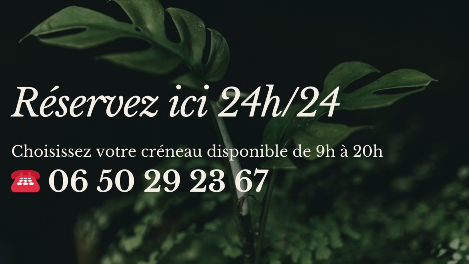 Le Cocon Nantais de Jo