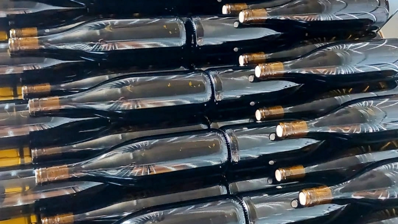 Vinařství NEPRAŠ & Co.