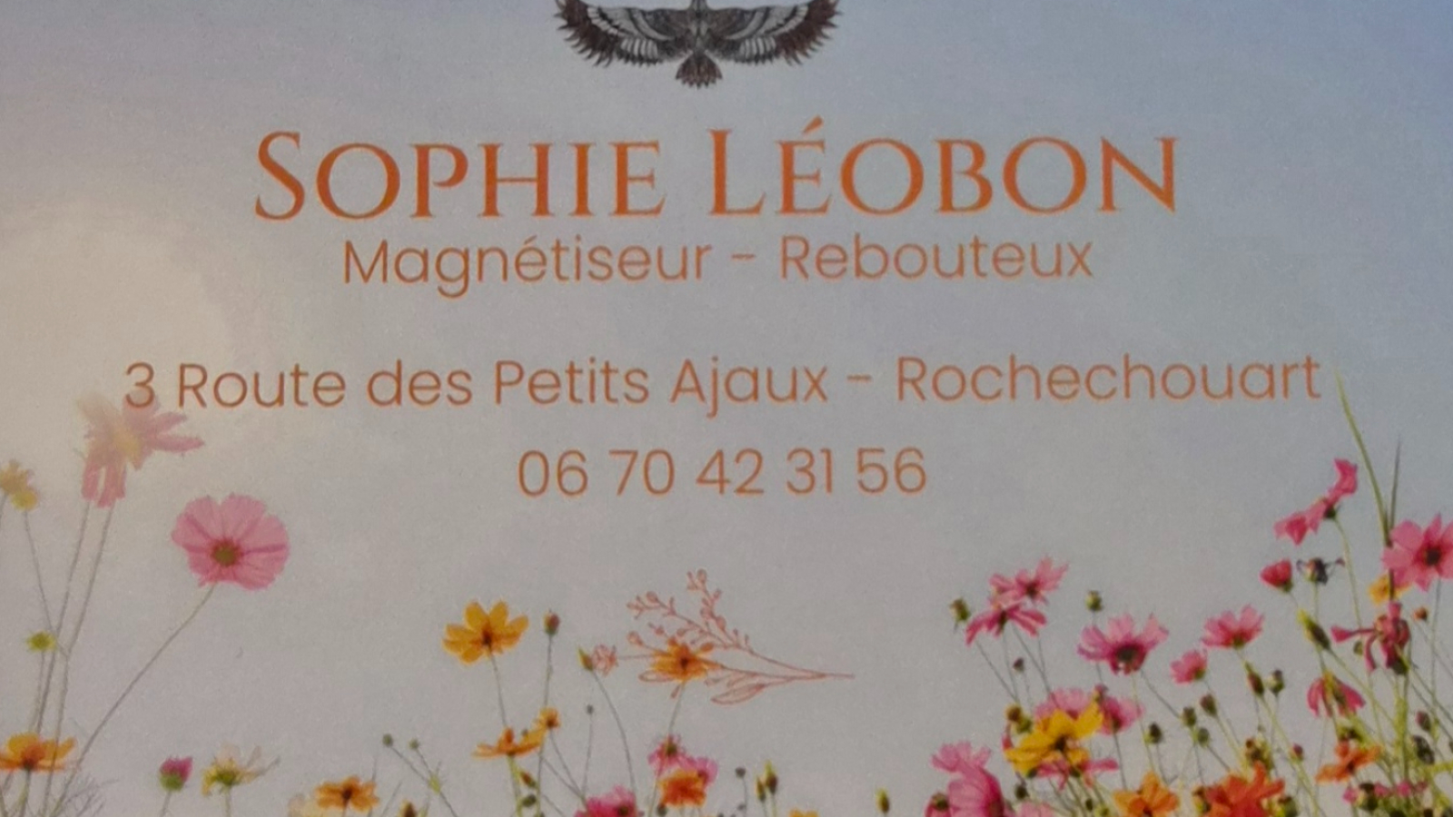 Sophie LEOBON Magnétiseur