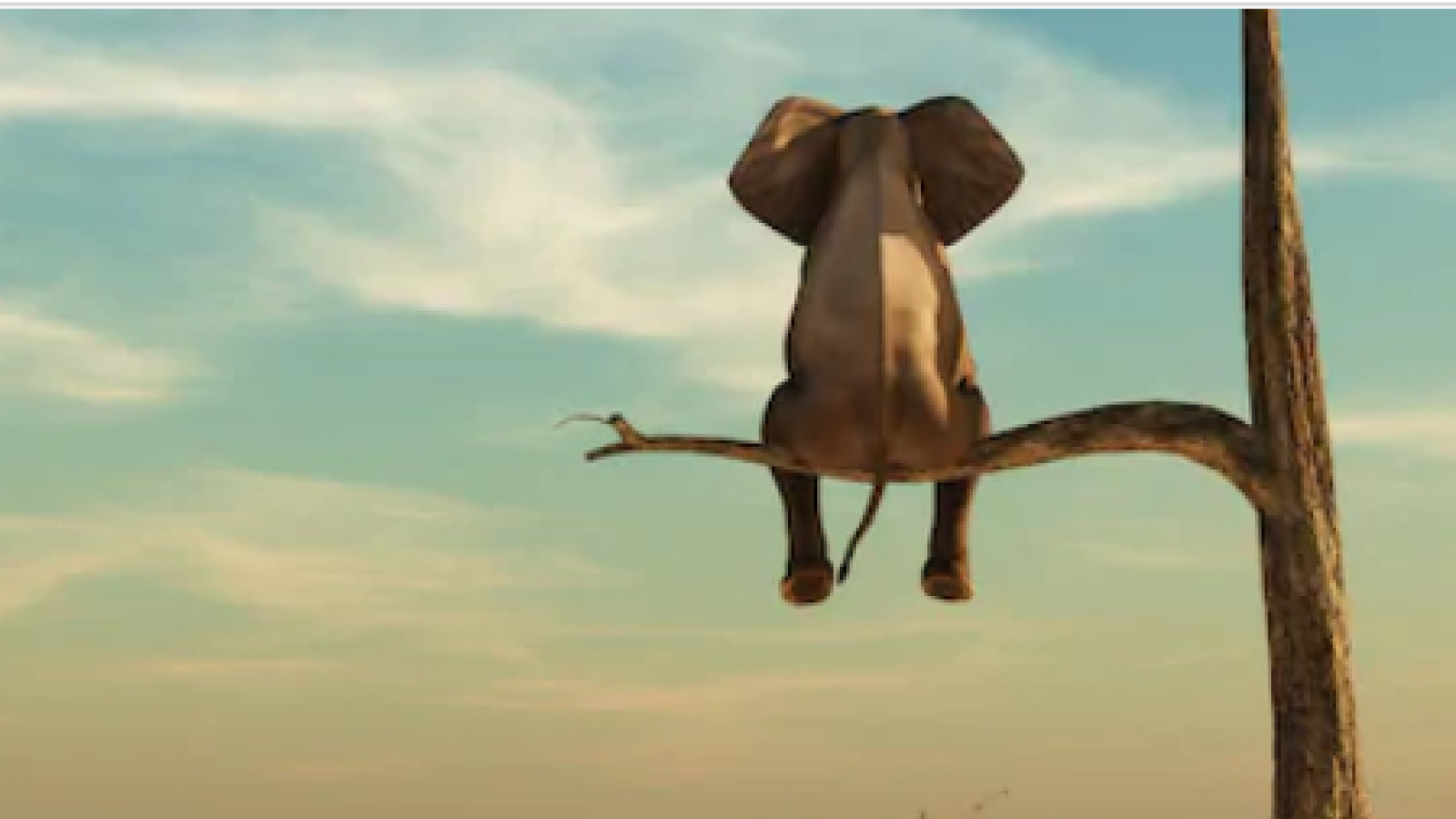 Bc. Marie Košťálová - Životní principy