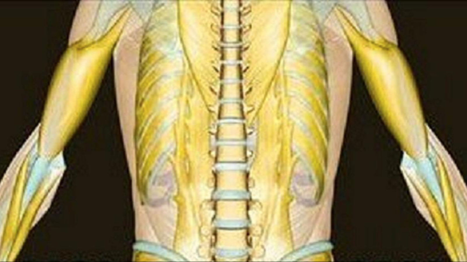 Mgr. Daniel Fáber, Fyzioterapie