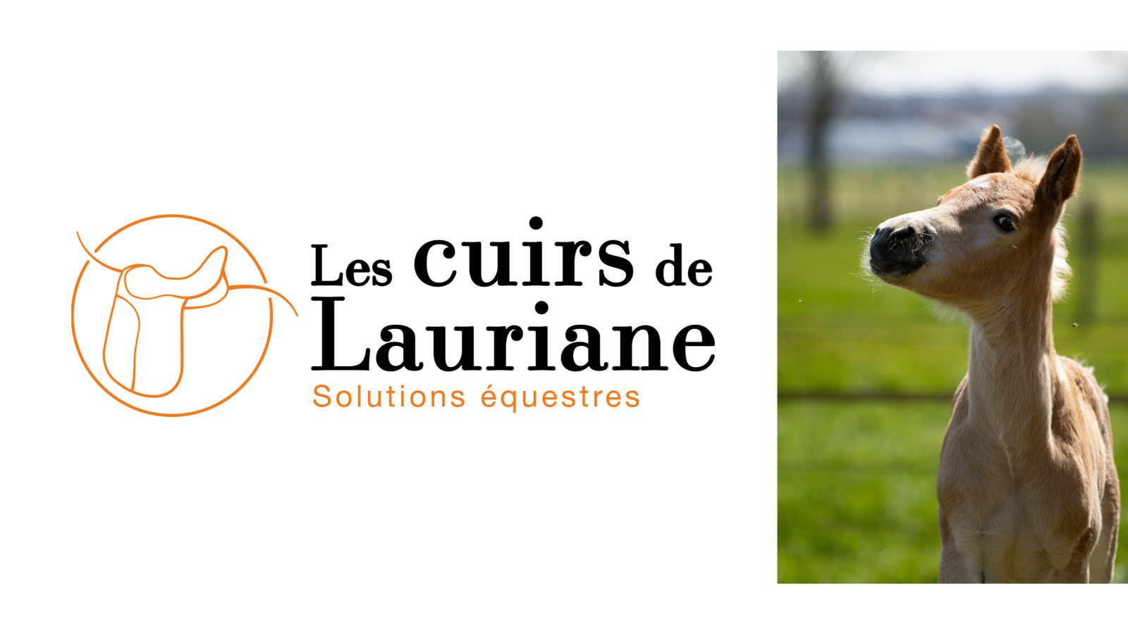 Les Cuirs de Lauriane