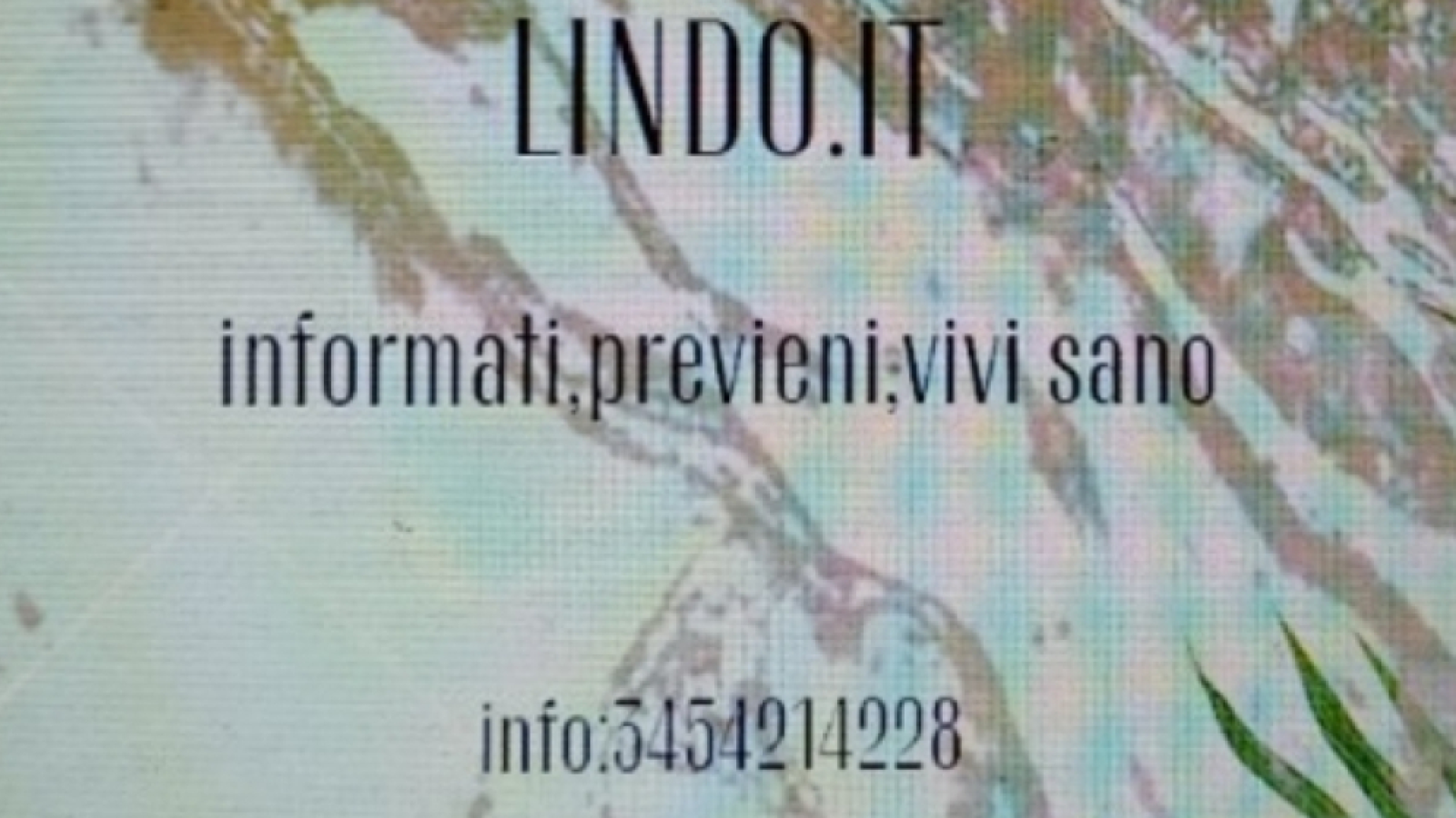 LINDO.IT