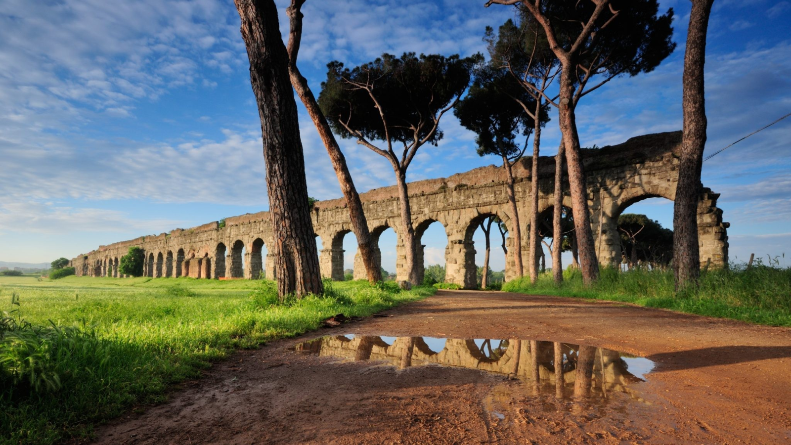 SERVIZI AL CITTADINO 2000 - CENTRO RACCOLTA CAF E PATRONATO