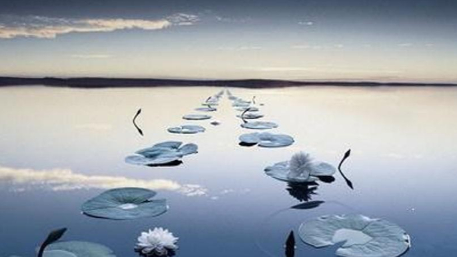 Cabinet Énergétique Chinoise