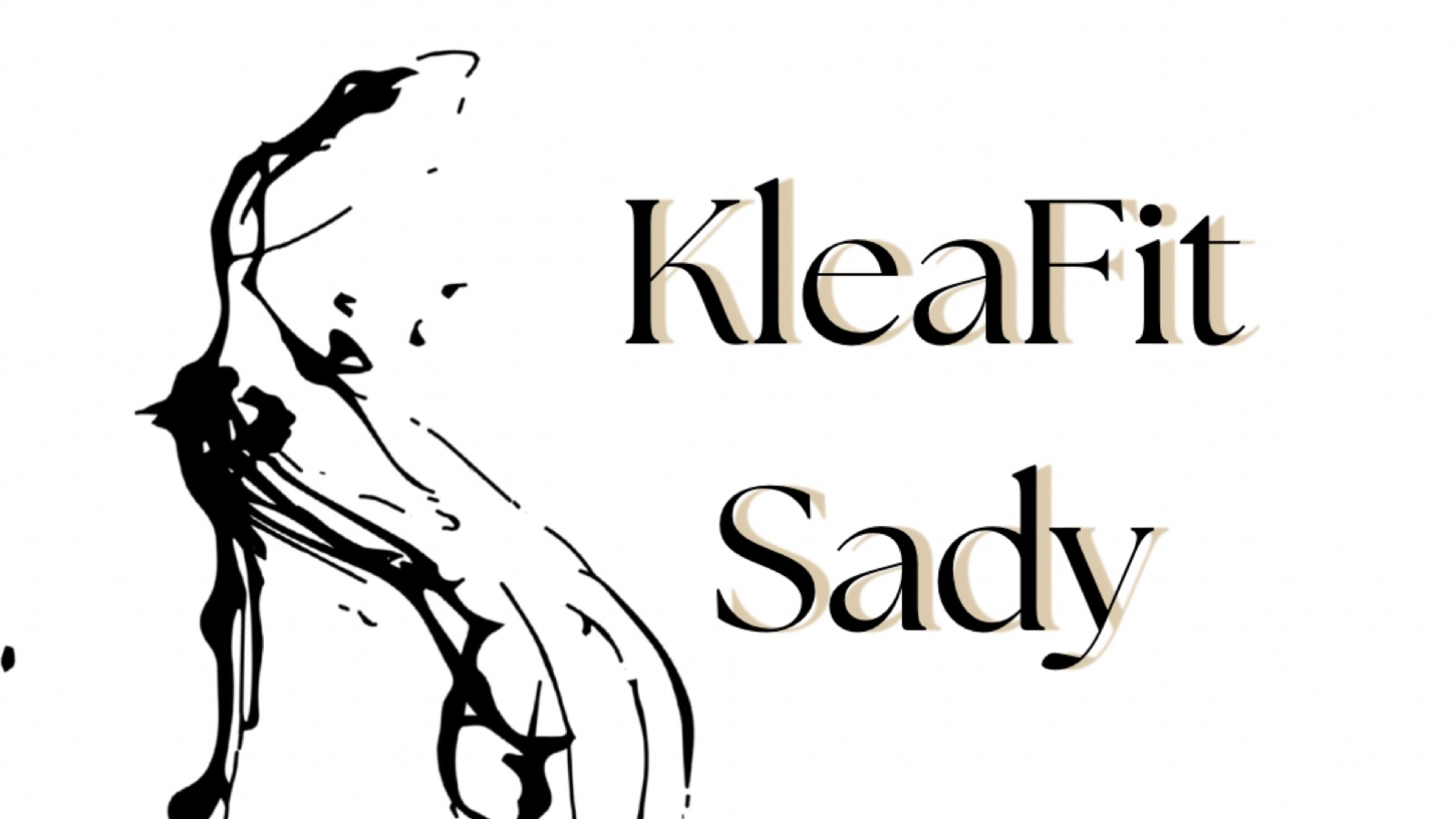 Fyziocentrum KleaFit Sady