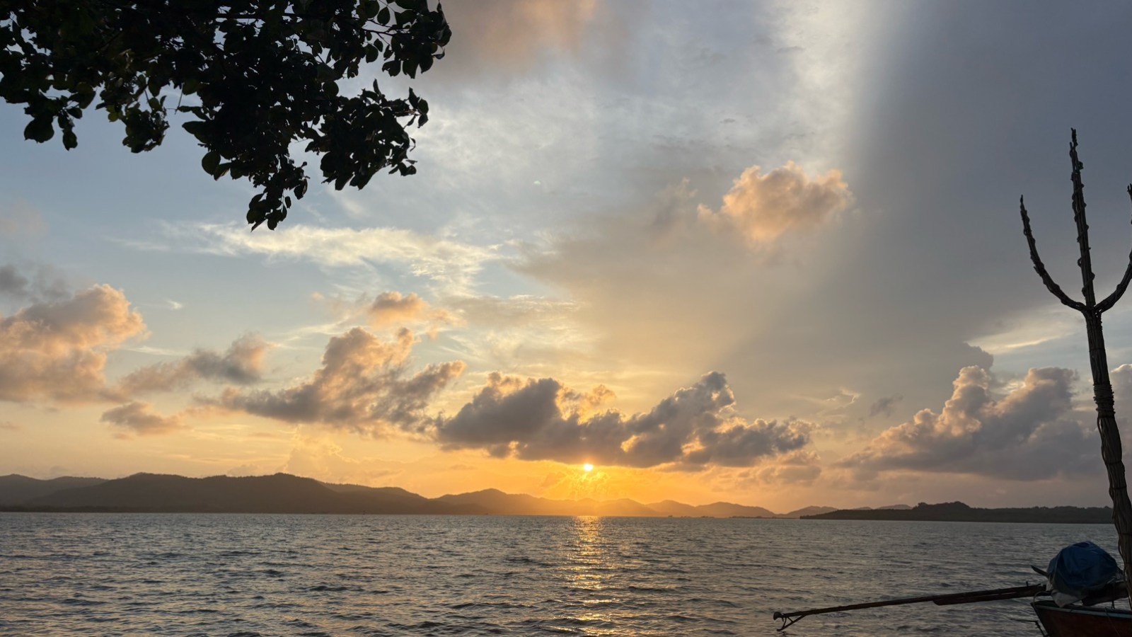 Sophie Chérif, Kinésiologue certifiée. Toulouse-Balma