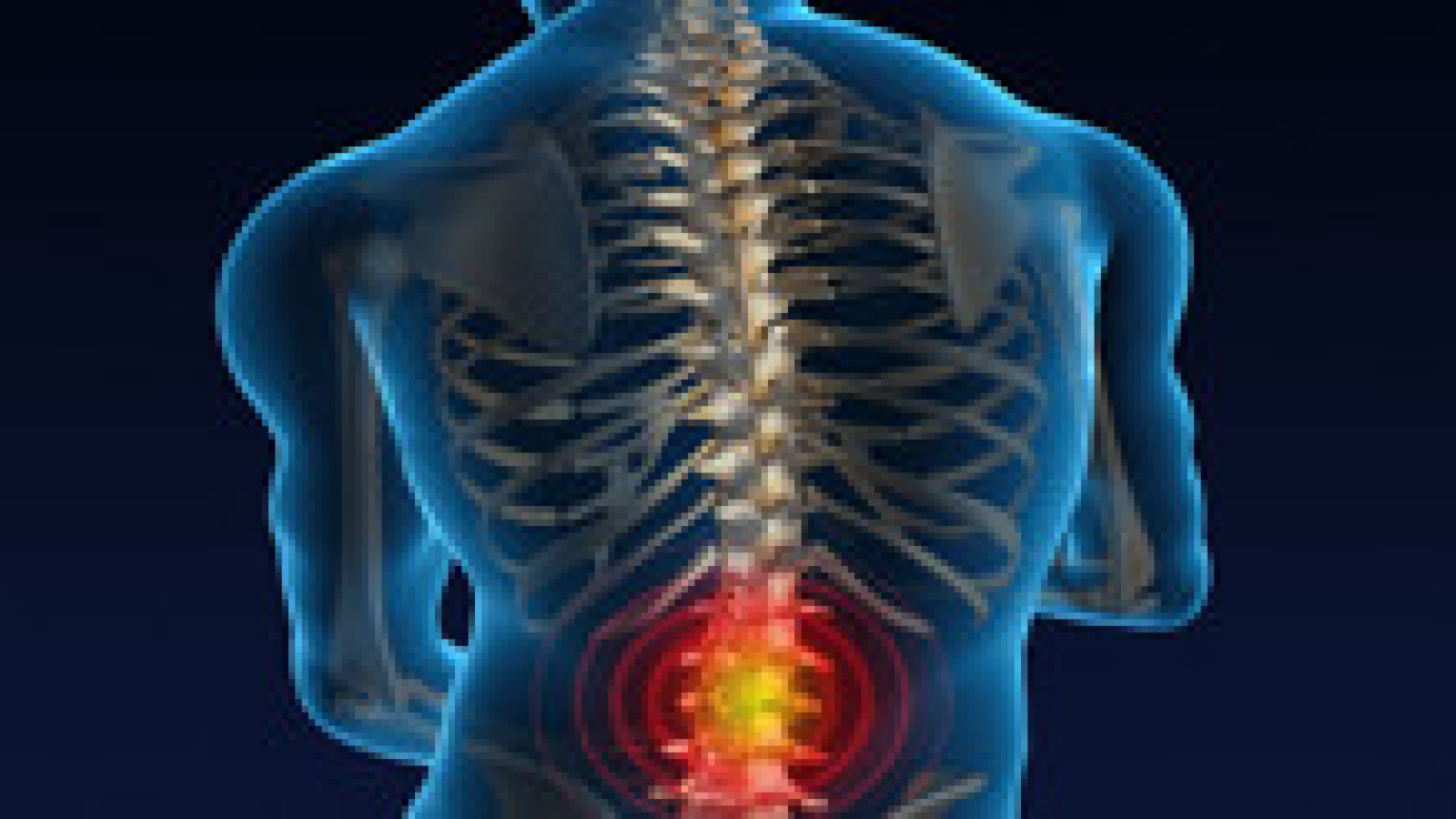 Corpus Christi Chiropractic & Wellness, Inc