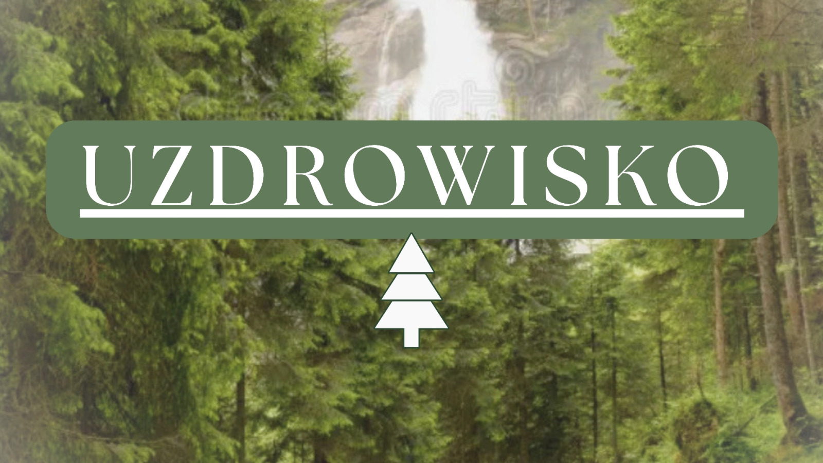 Uzdrowisko Centrum regeneracji psychosomatycznej i pomocy psycho
