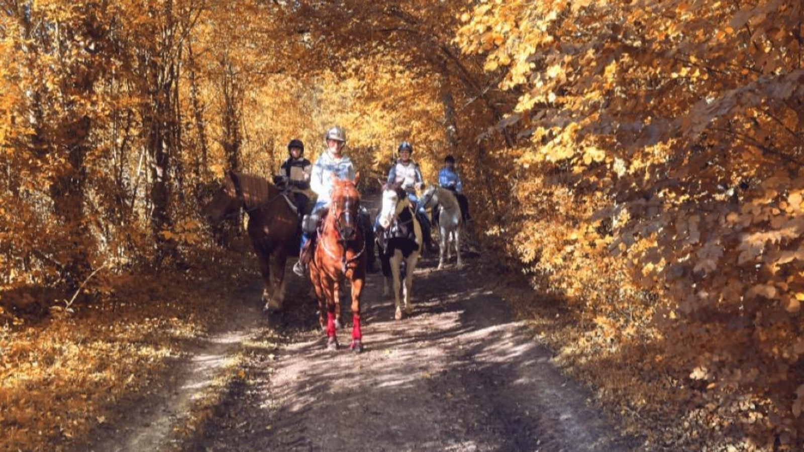 Le Ranch des Grands Soleils