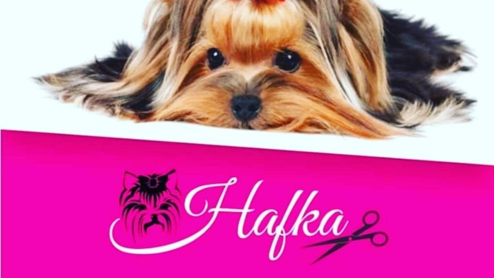 Salón Hafka