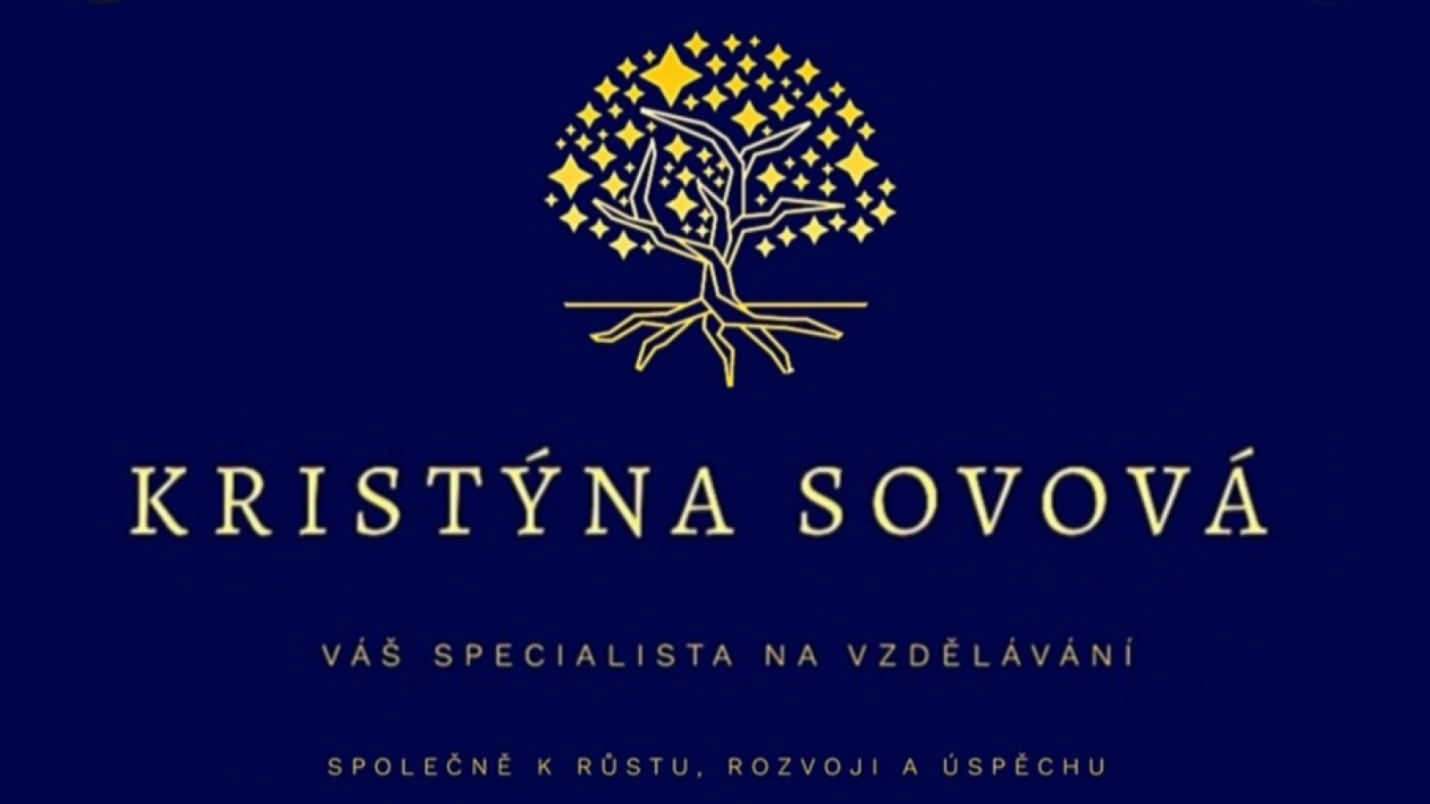 Kristýna Sovová - Váš partner ve vzdělávání
