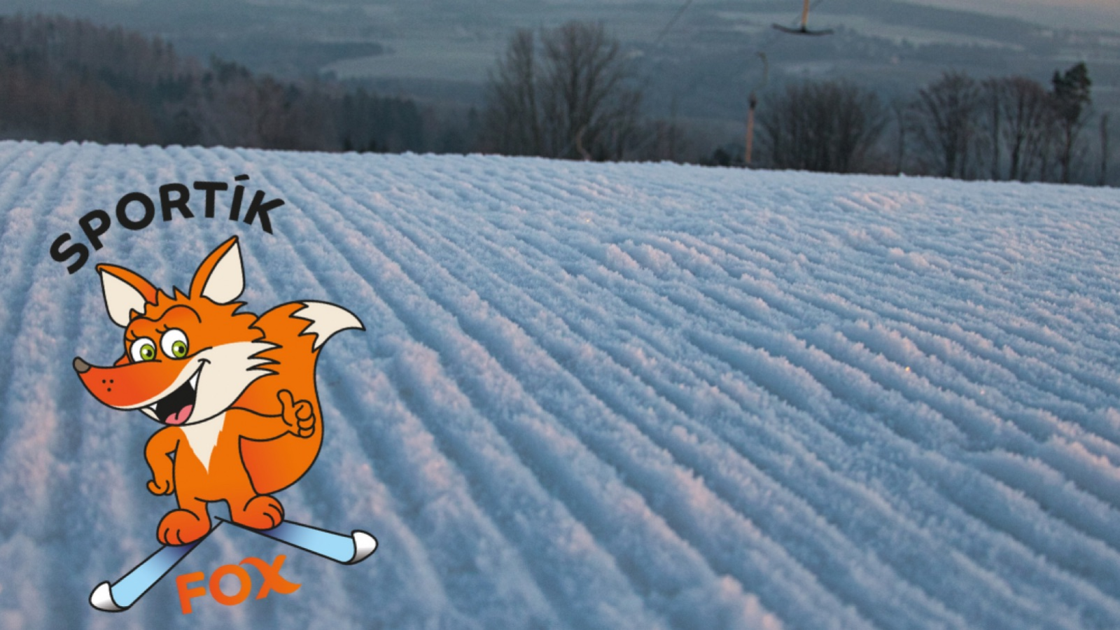 Sportík Fox