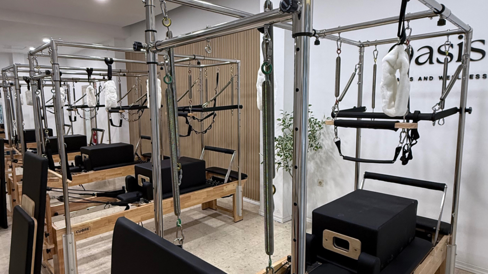 Oasis Pilates and Wellness