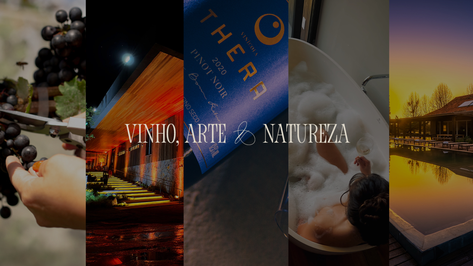 Vinícola Thera | Fazenda Bom Retiro