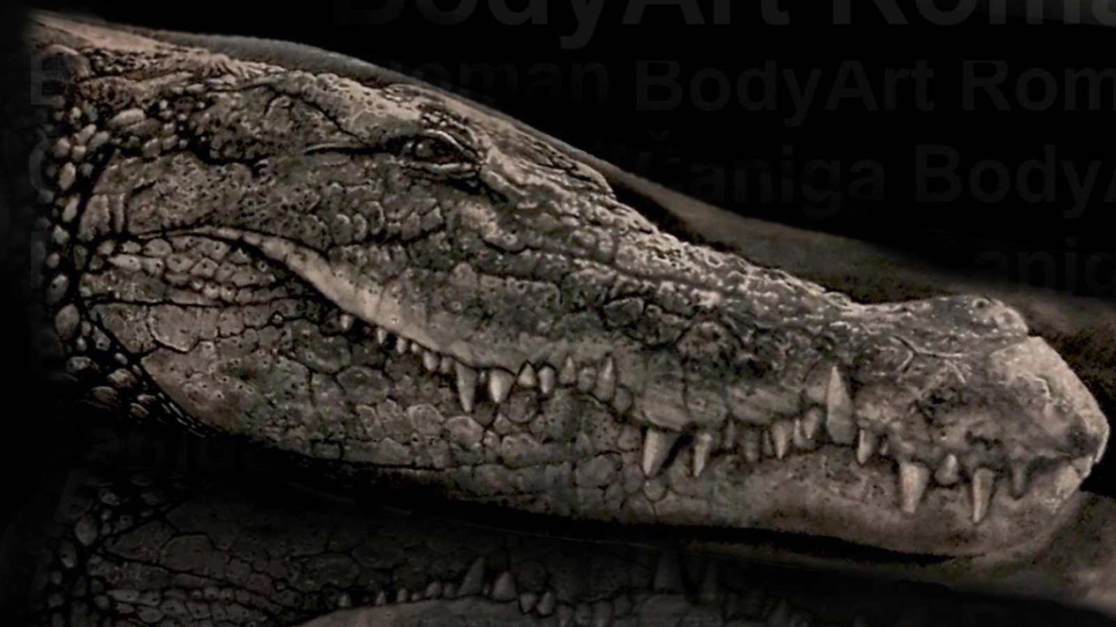 BodyArt Roman Čaniga