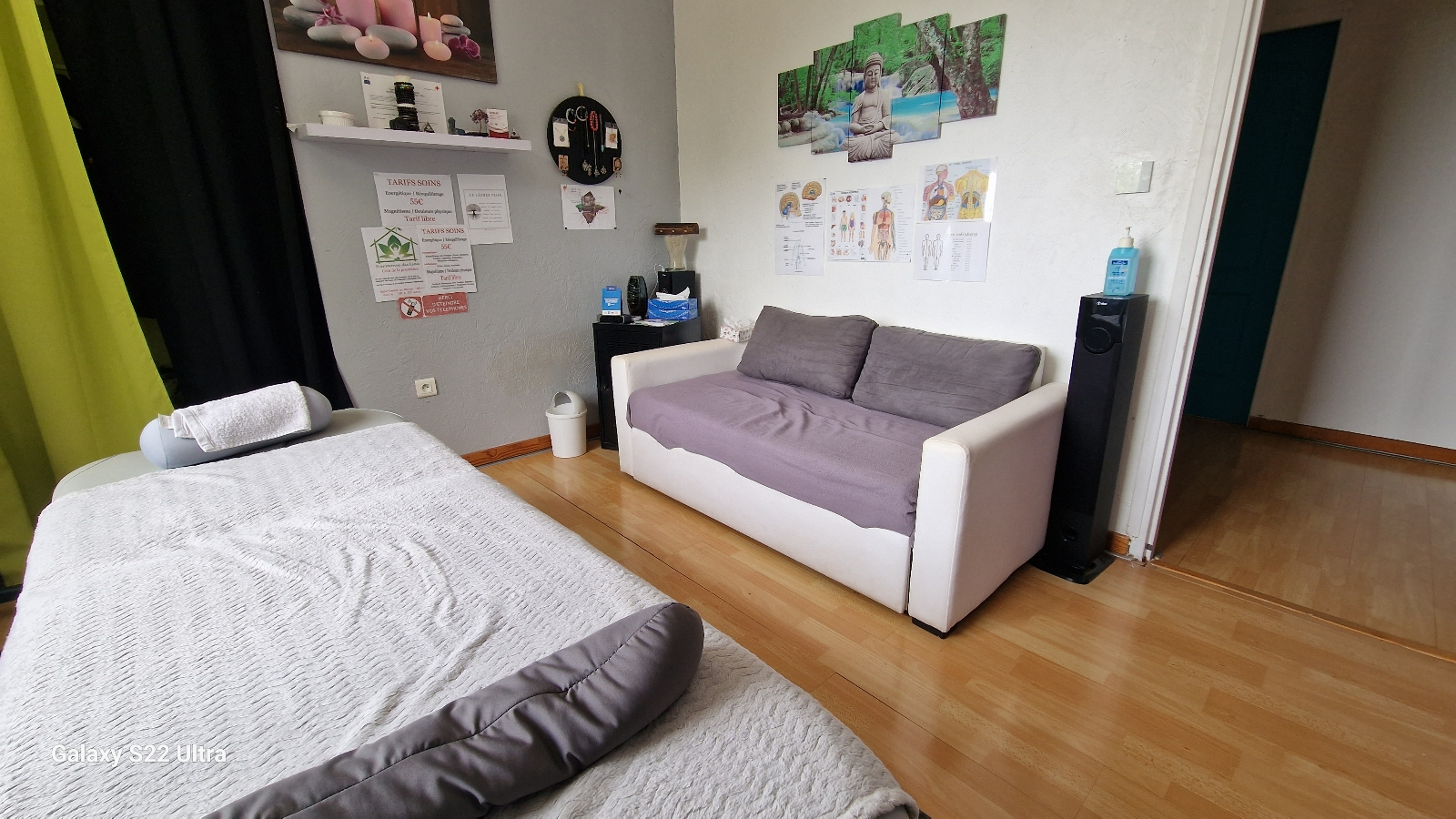 FRANCOIS Laurent Magnétiseur