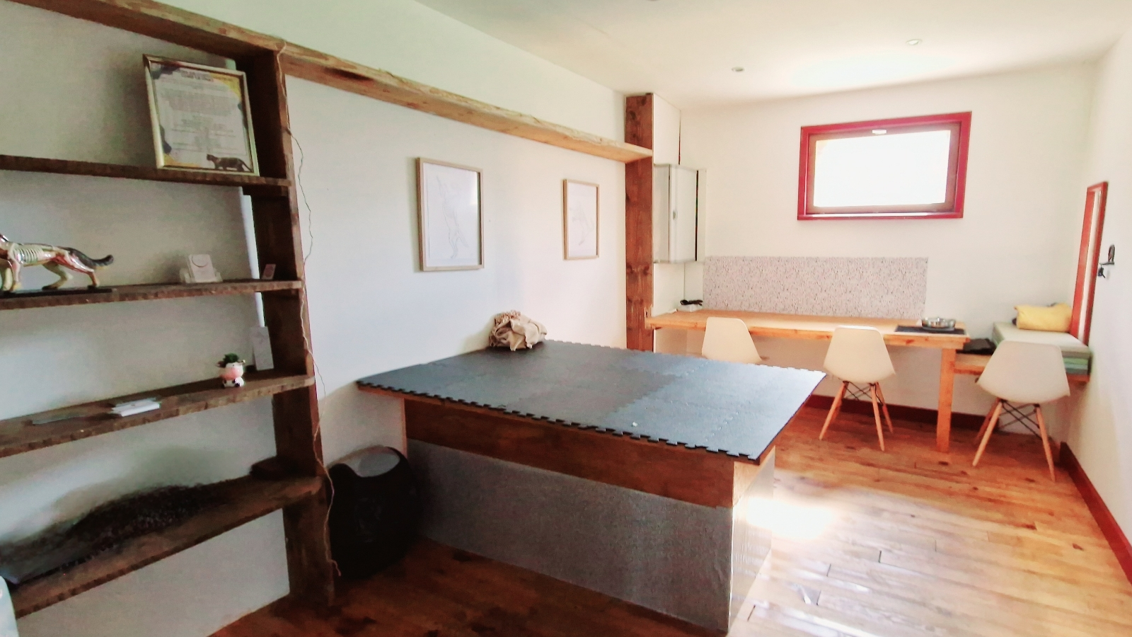 Mathilde Bornowski Ostéopathe pour animaux