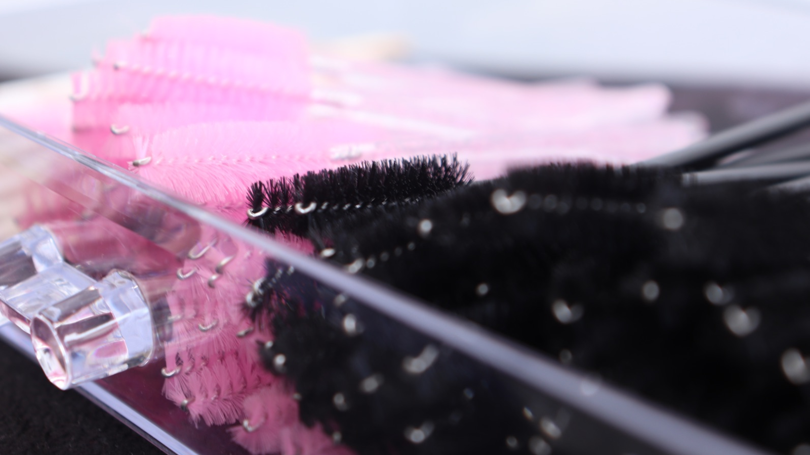 sᴛᴜᴅɪᴏ ᴀᴍᴀɴᴅᴀ ɢᴏᴍᴇs