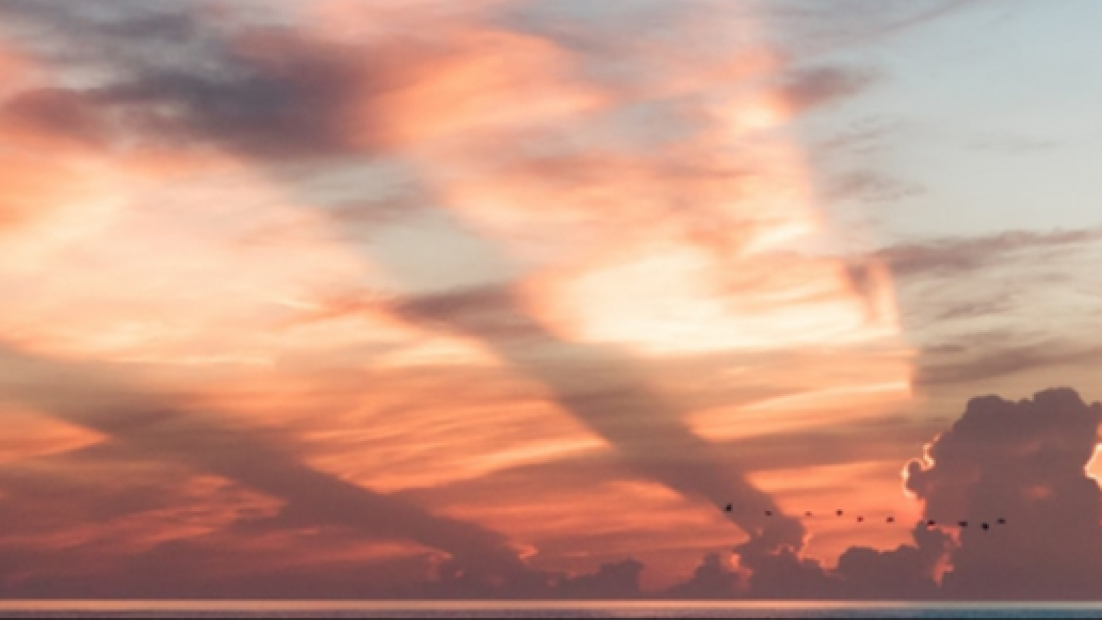 Cabinet de sophrologie Gratte-Ciel - Julie-Barberine GEORGET