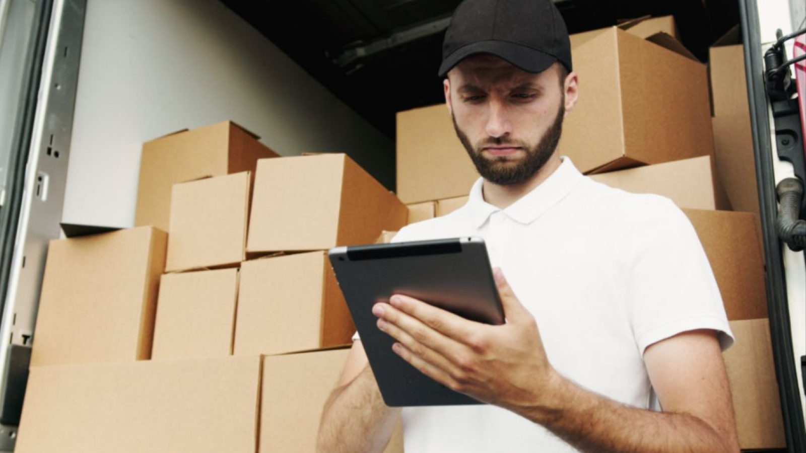 Coconuts For College Junk & Moving