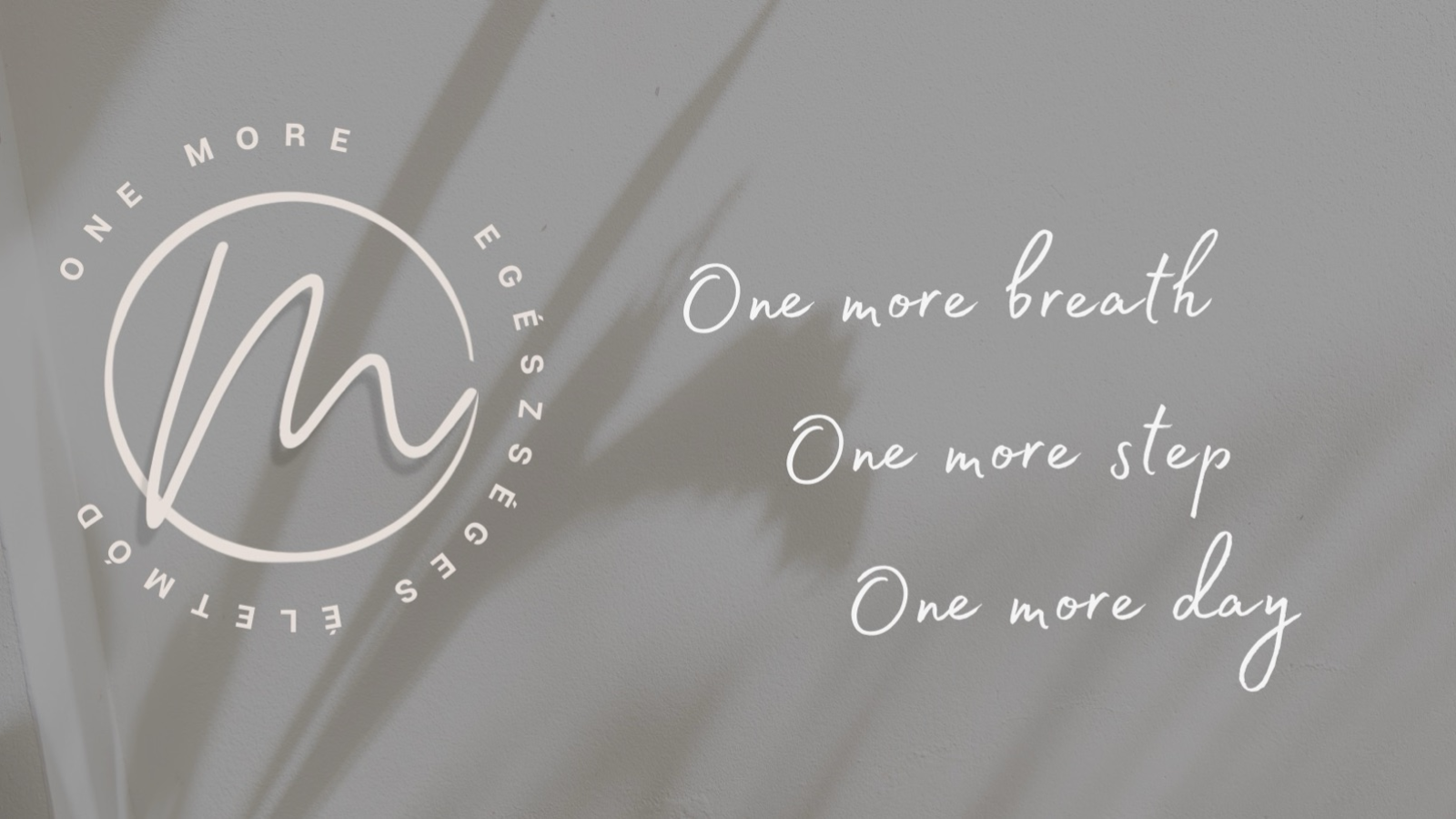 One More Fitness Studio