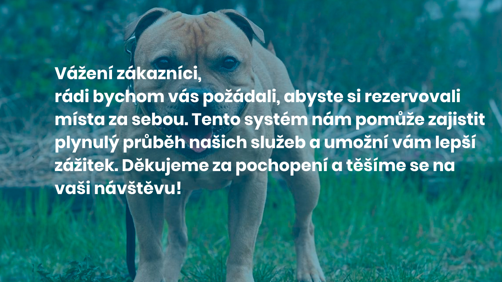 Bull Sporty Vyškov