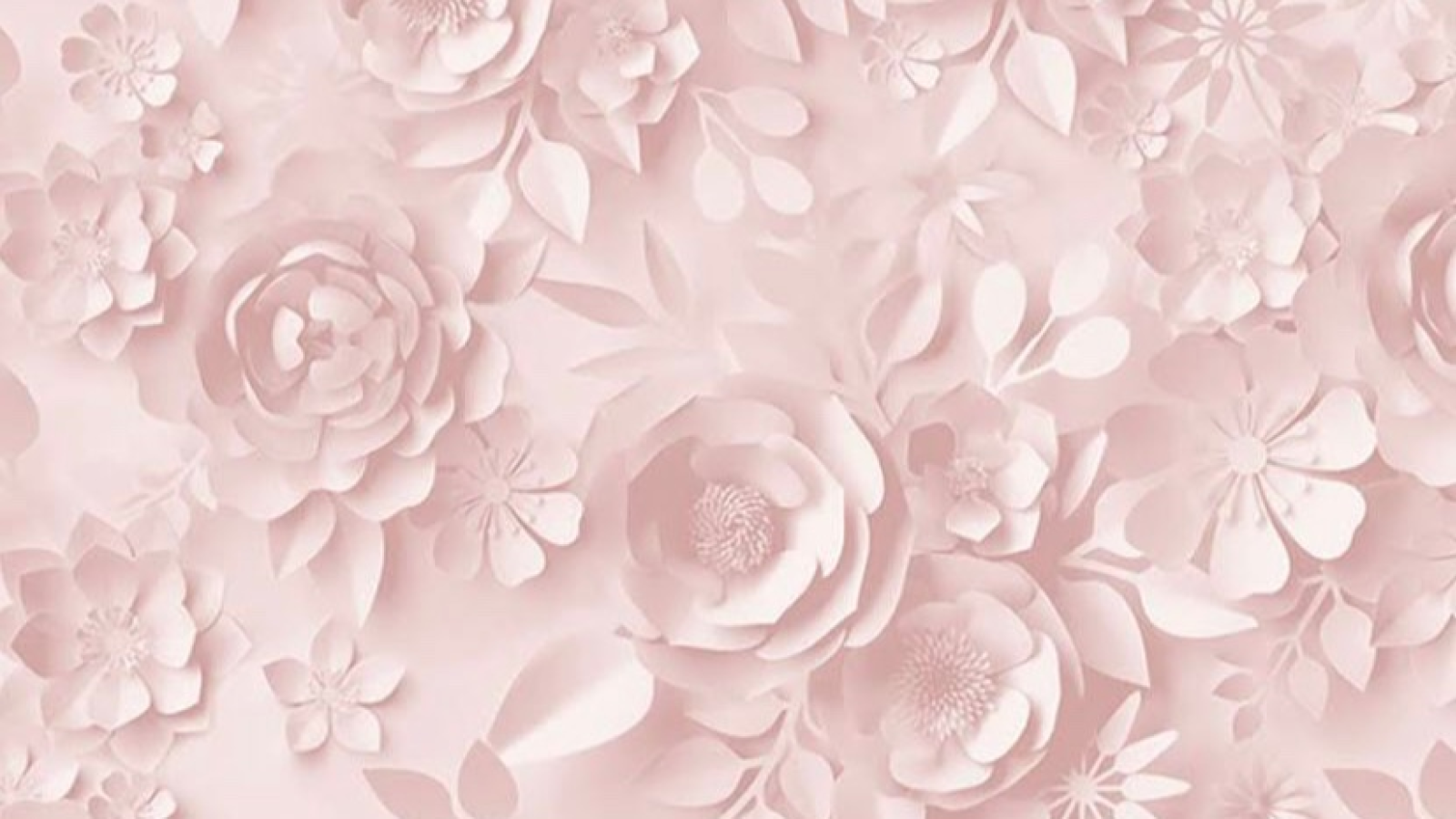 Bohemia Beauty Institut