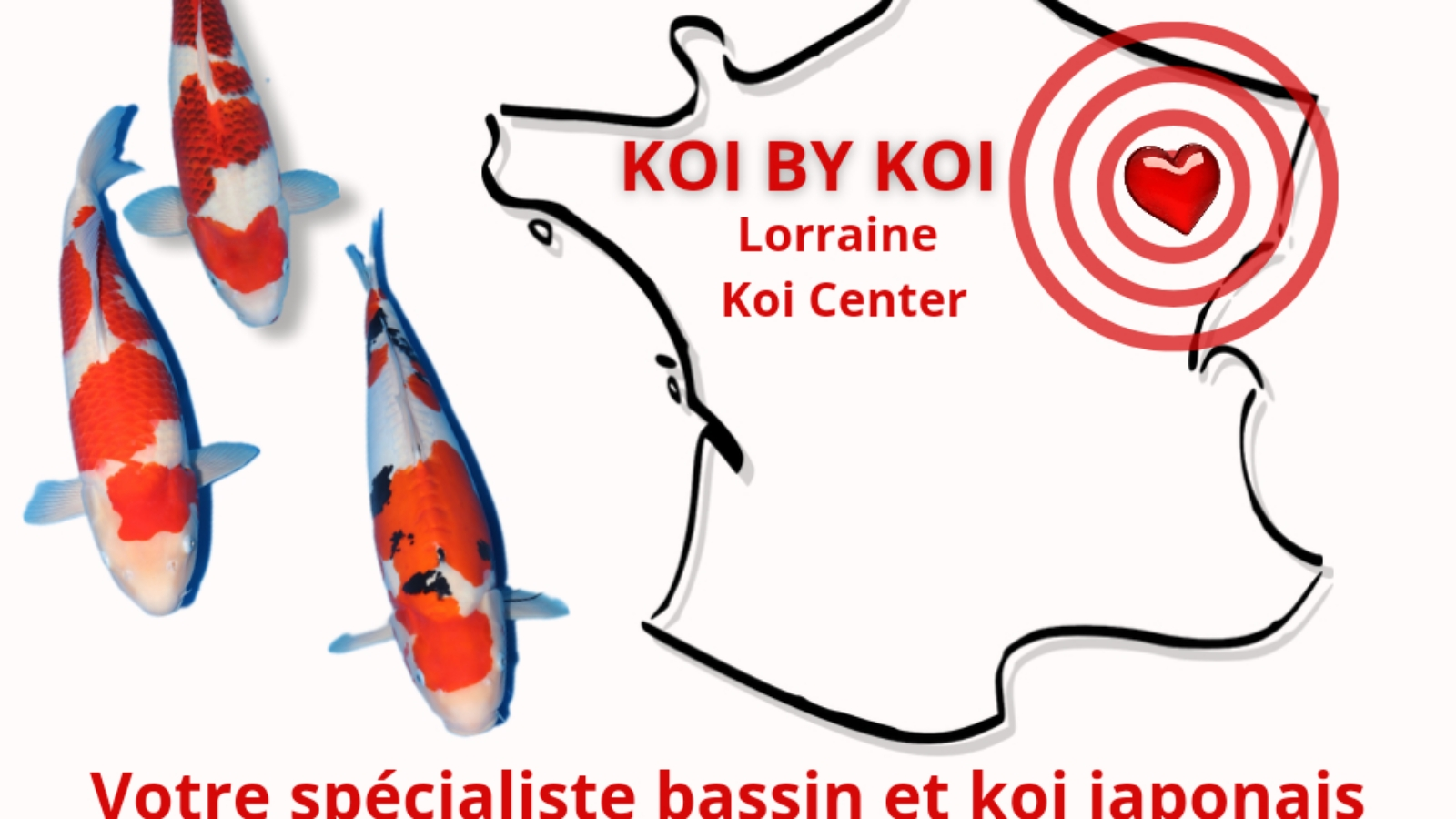 KOI by KOI