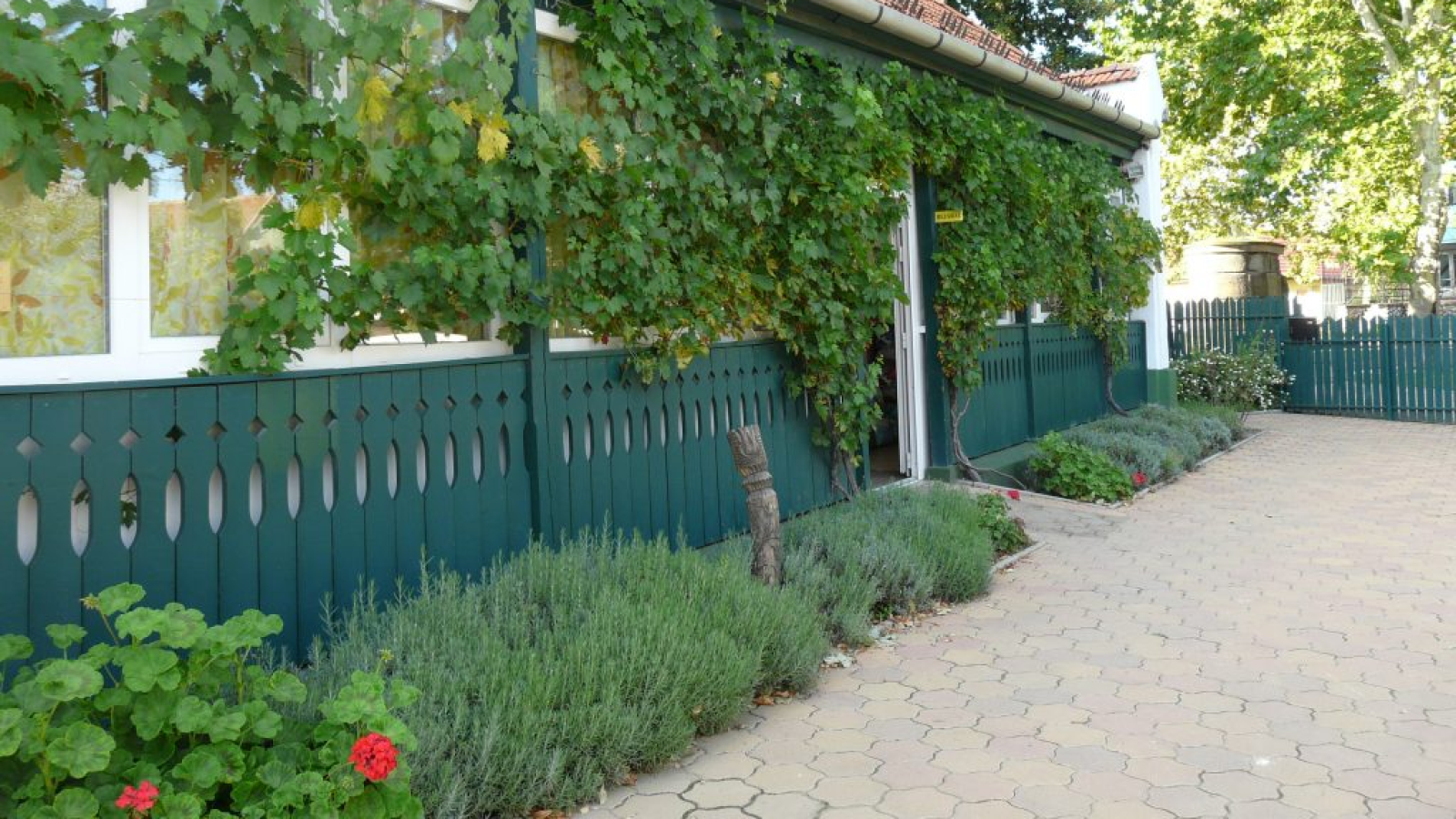 Felsőzsolcai Kisállatrendelő