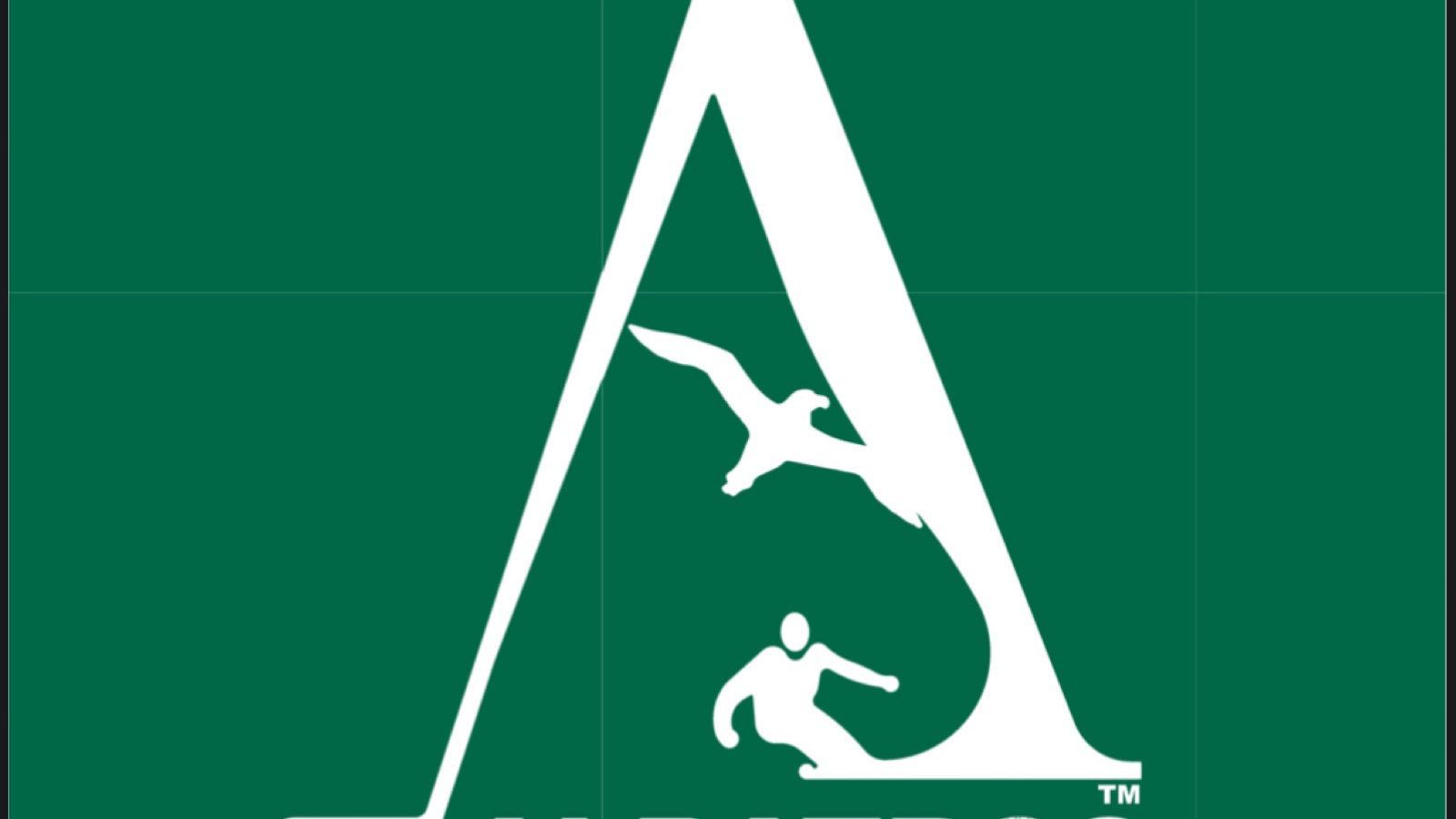 Albatros Indoor