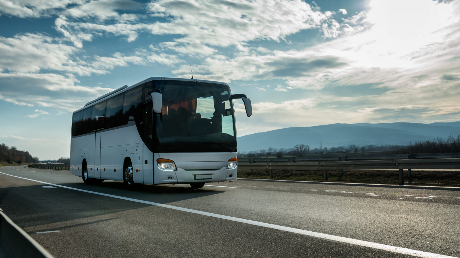 Moonlight Group Kft.