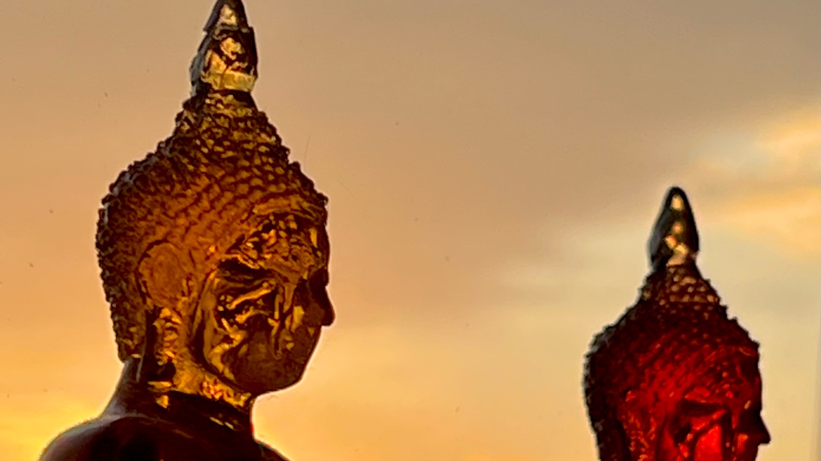 Ripple Into Wellness