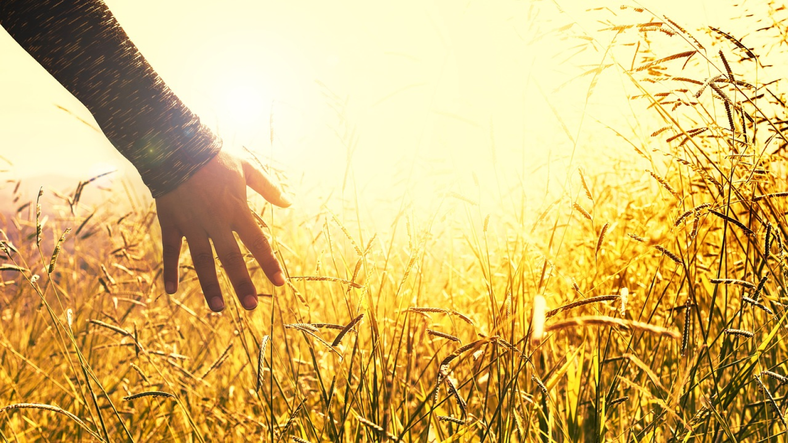 Marie Magdala Hluško