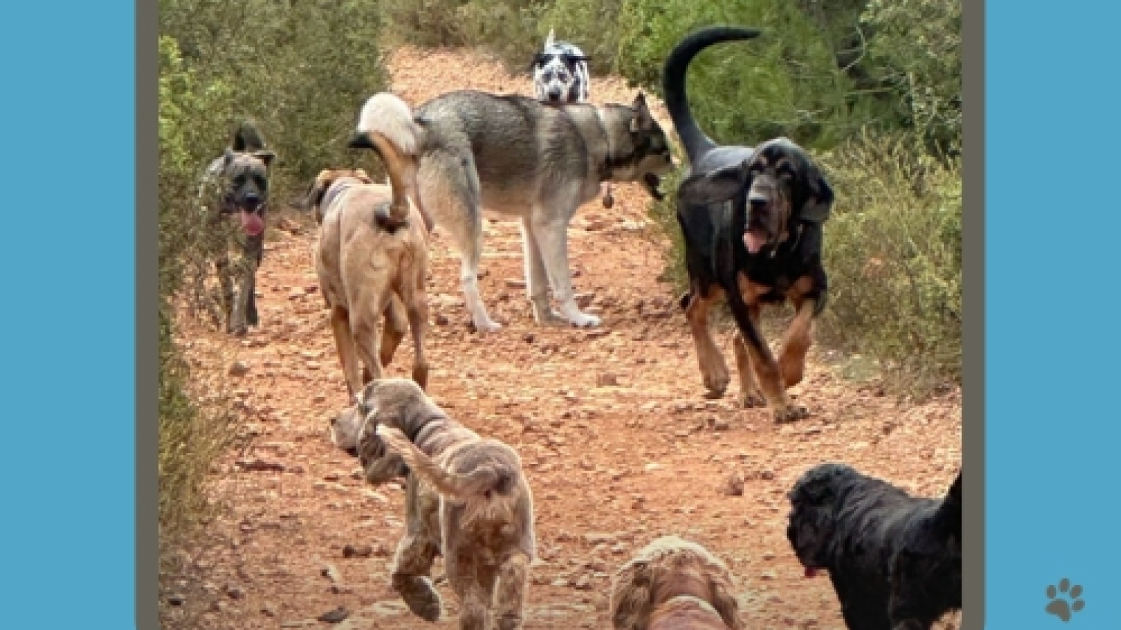 Les Petits Pas De Zoé