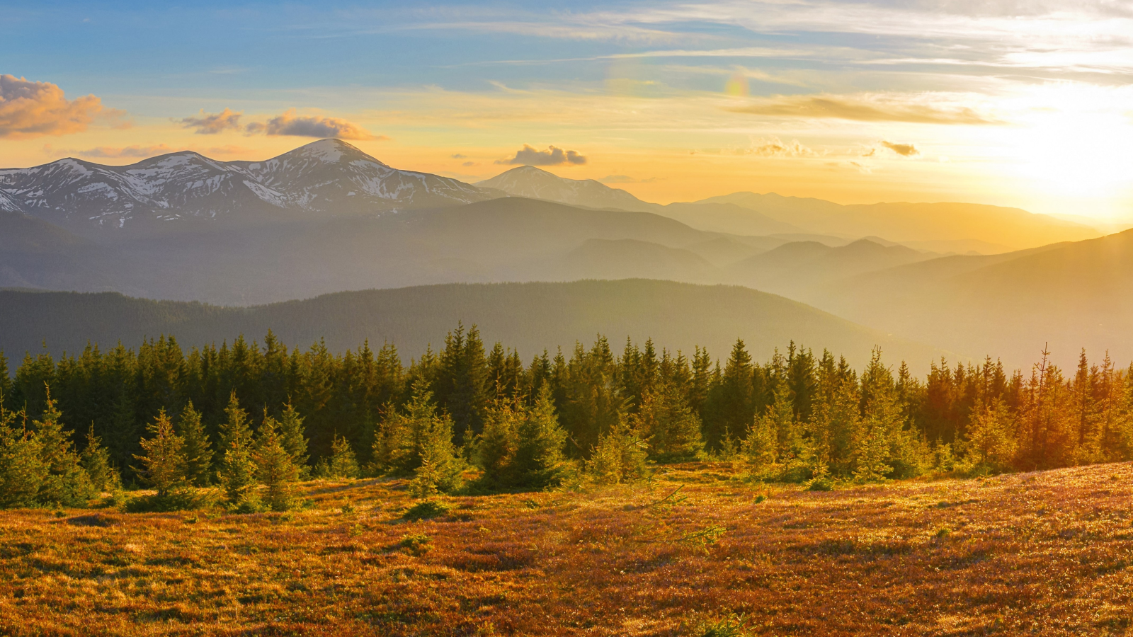 Co dobrego? Centrum Terapii i Rozwoju