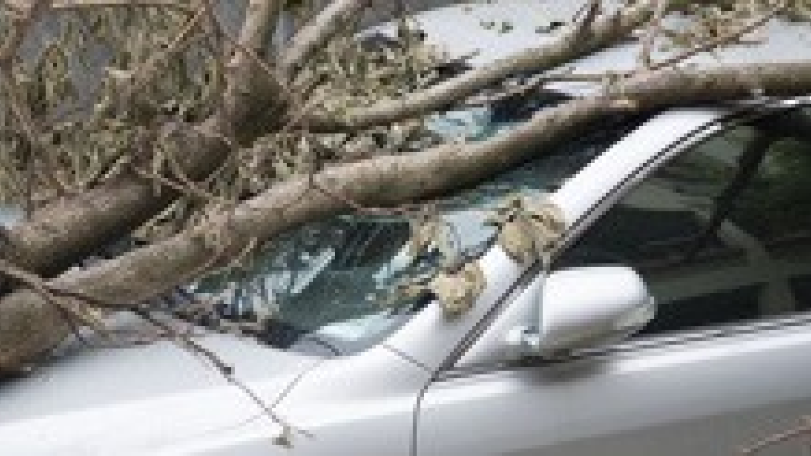 Seekers Insurance Center, LLC.