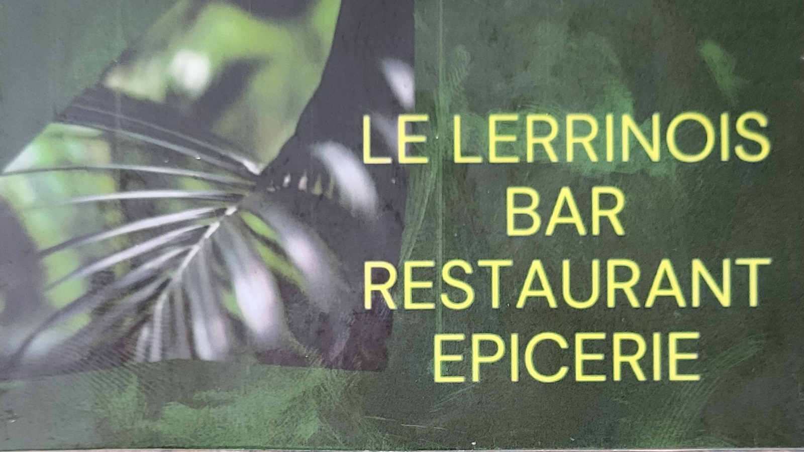 Le lerrinois