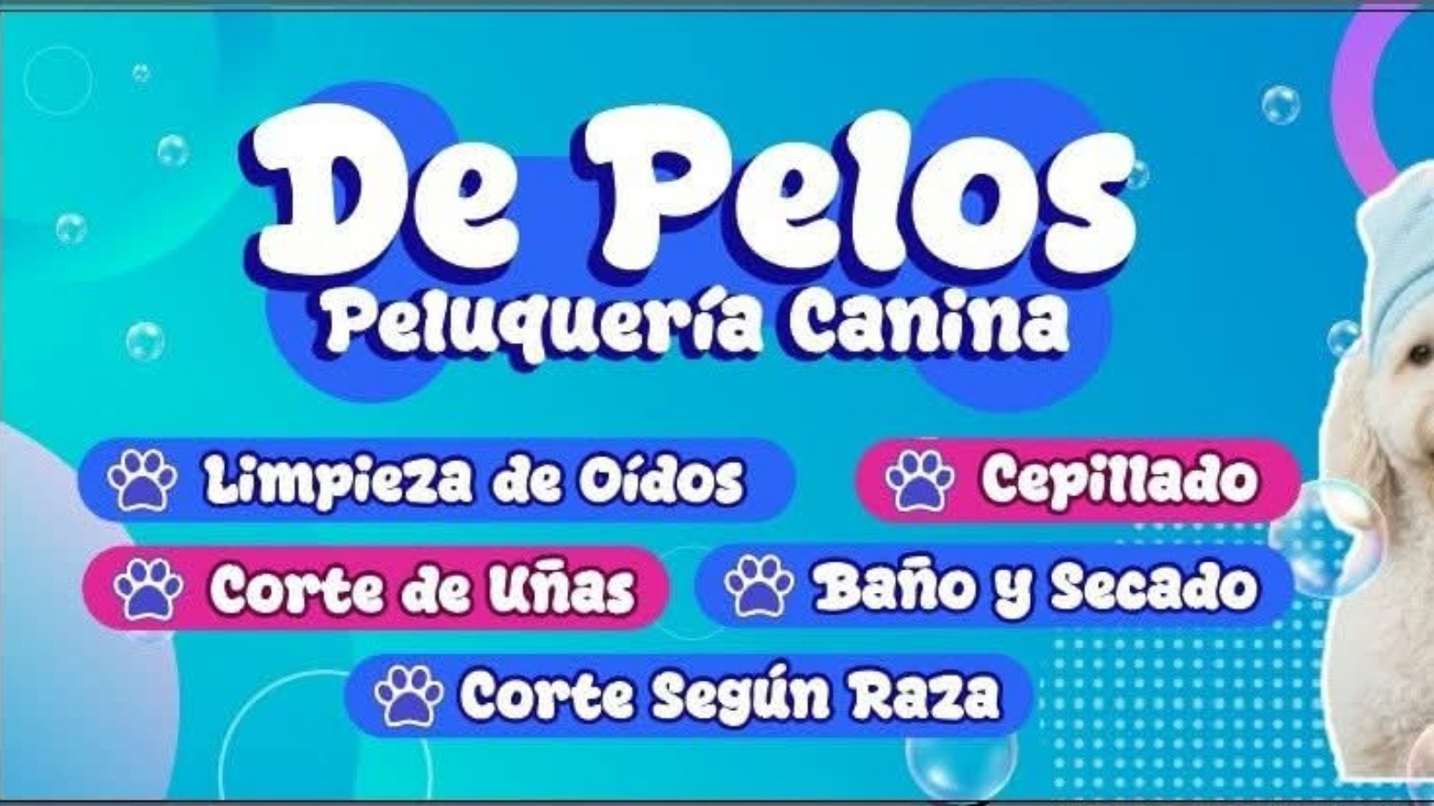 De Pelos Peluquería Canina