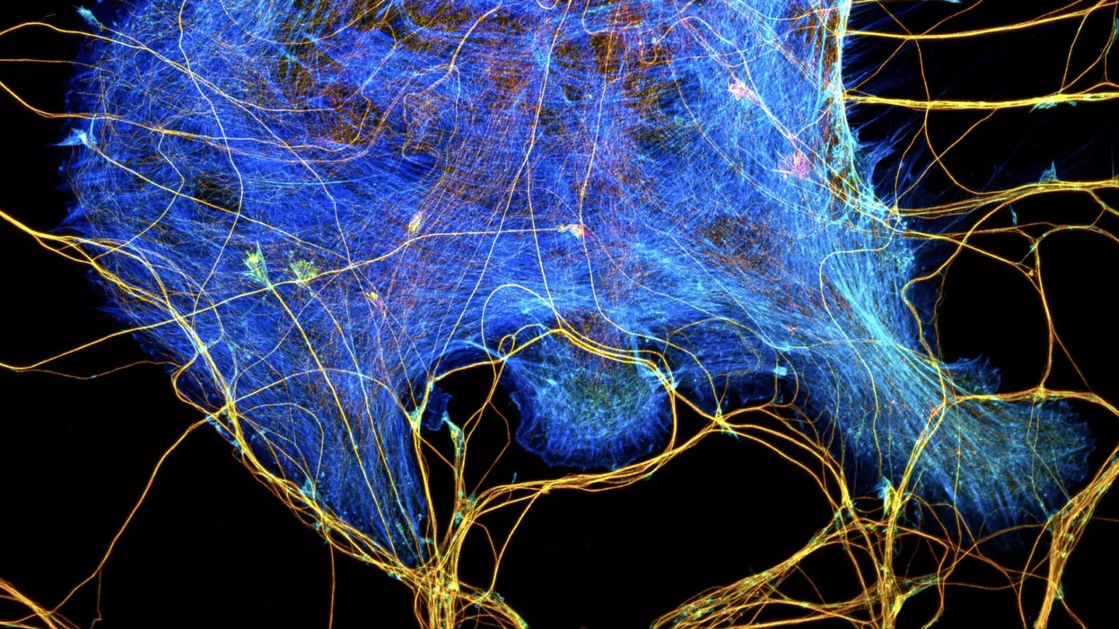 Workshop Nikon x Cyceron