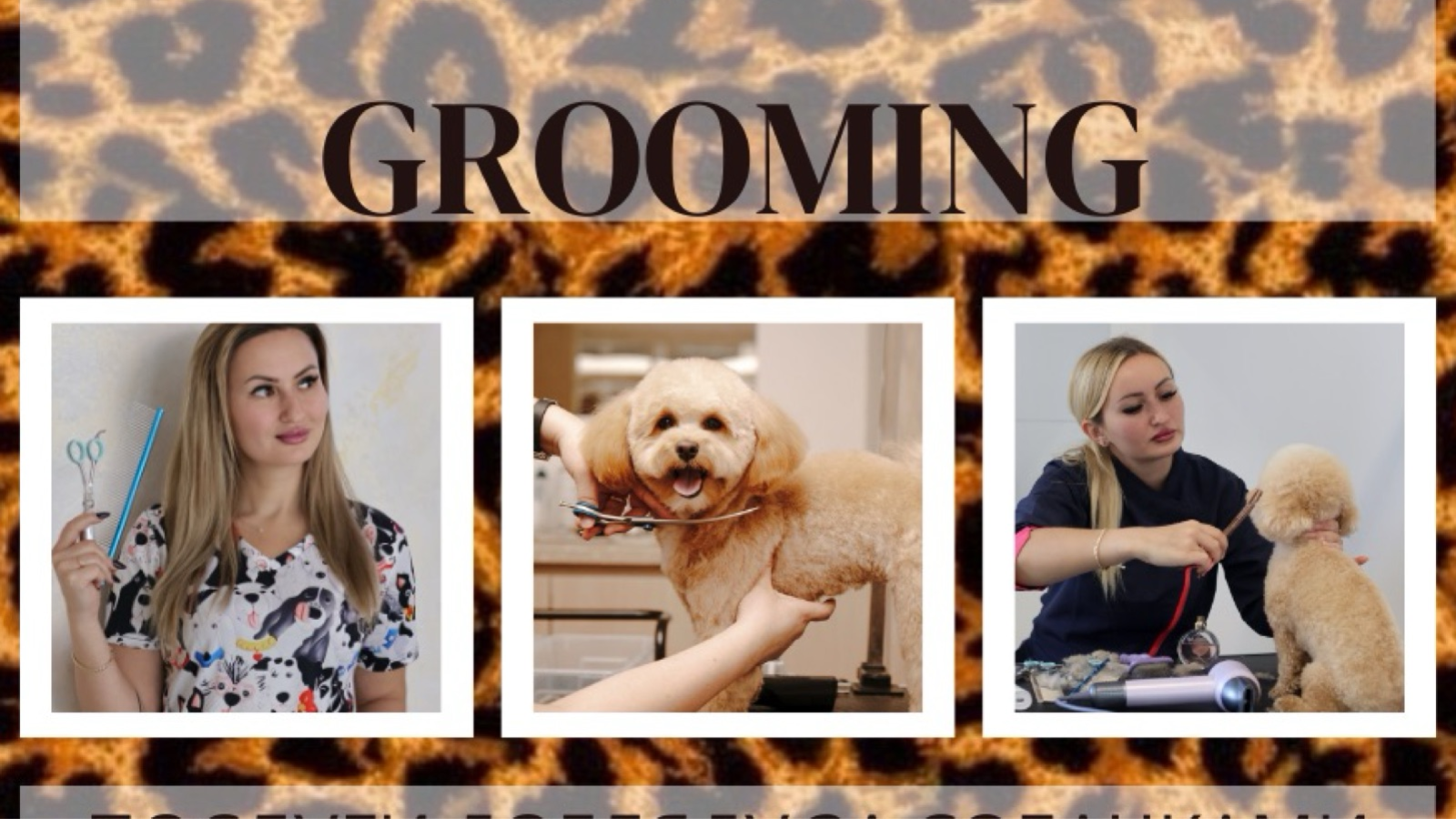 Royal Grooming