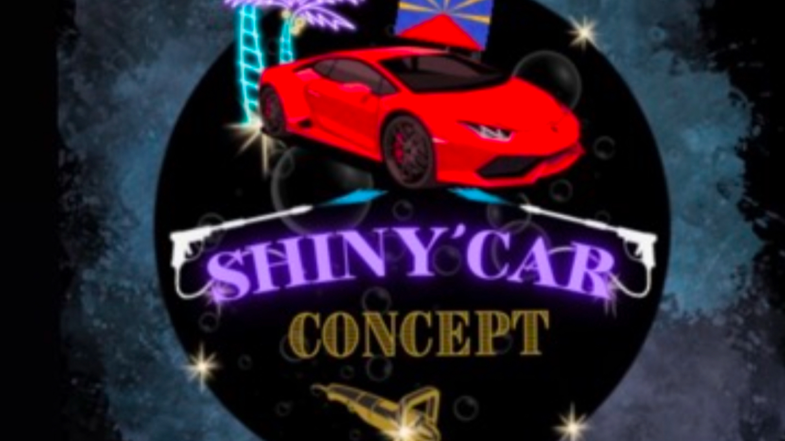 Shiny’carconcept