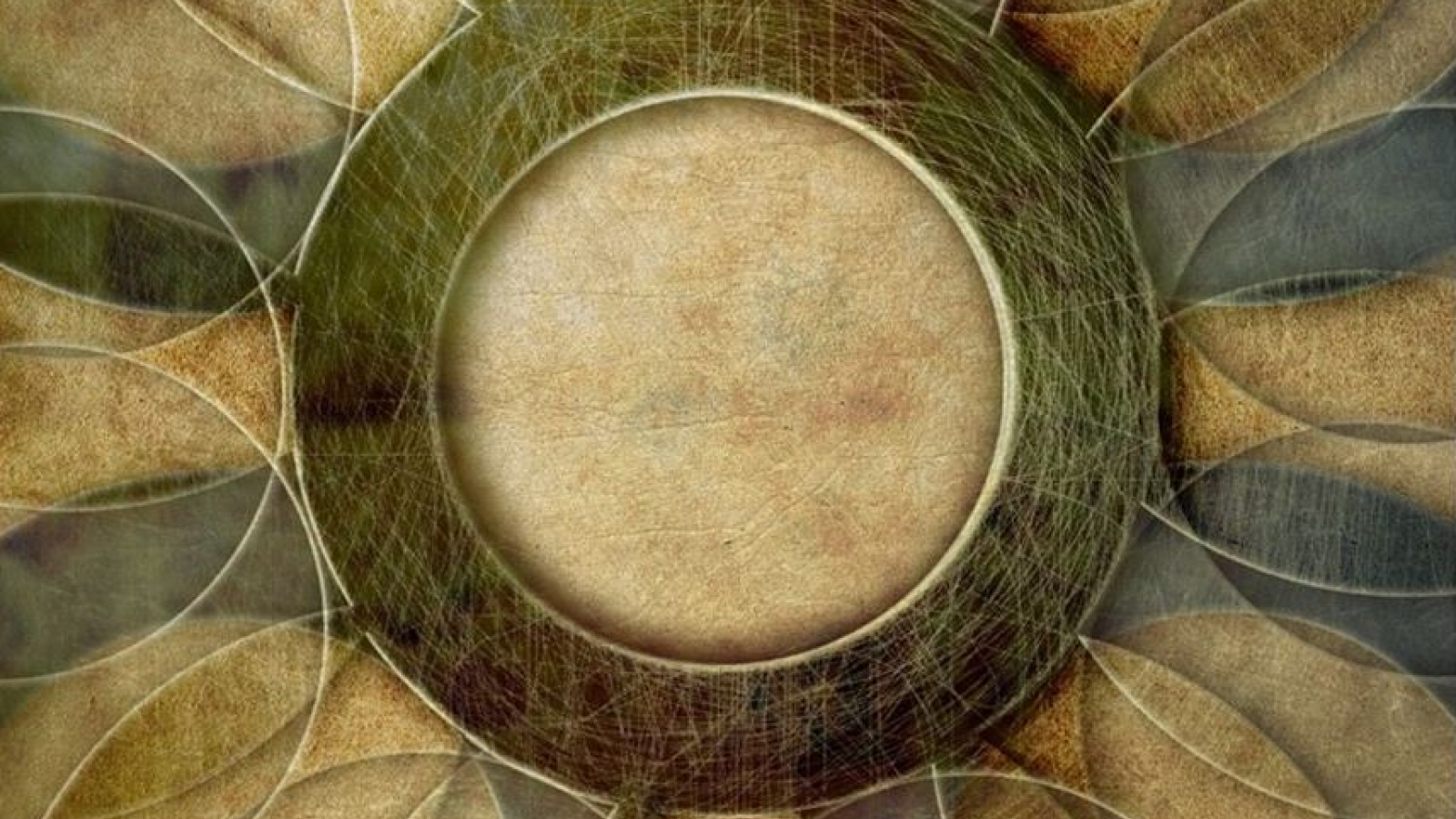 T/S ateliér Napelynek