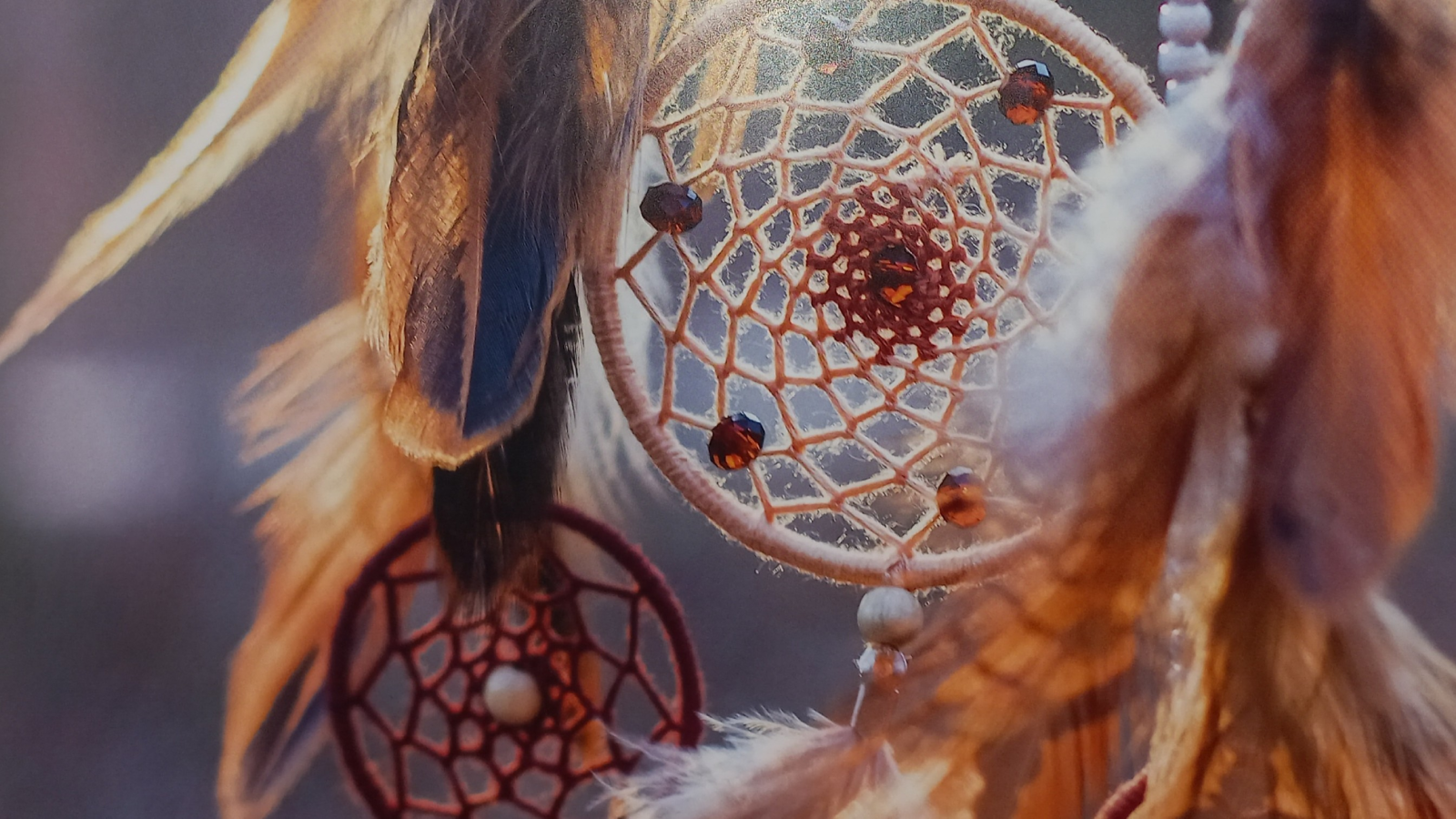 Koučink Mgr. Jana Čihánková, ACC