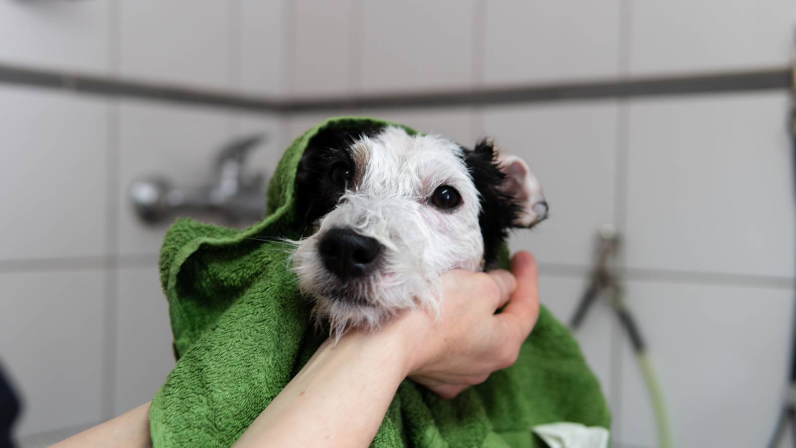 FAJNý salon pro psy