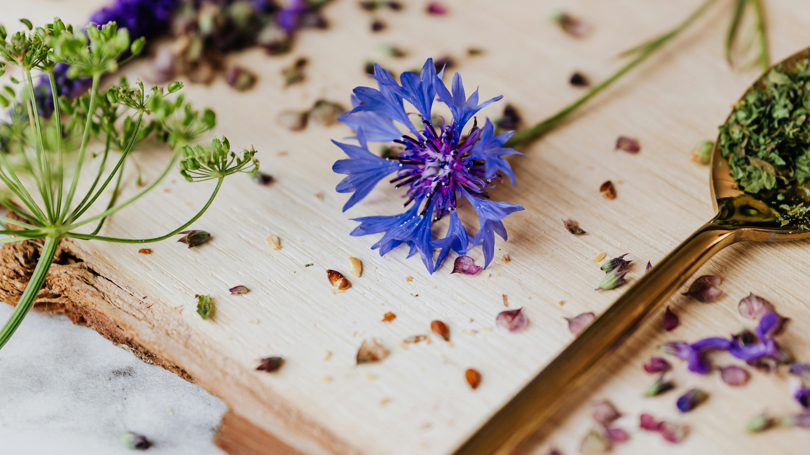 Anlor Naturopathie