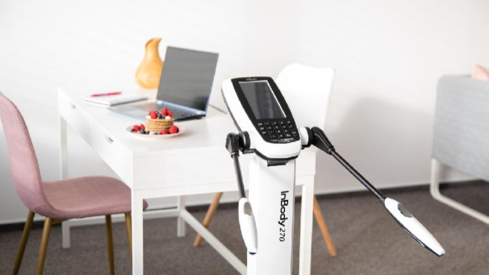 InBody Mgr. Hana Zlámalová, DiS.