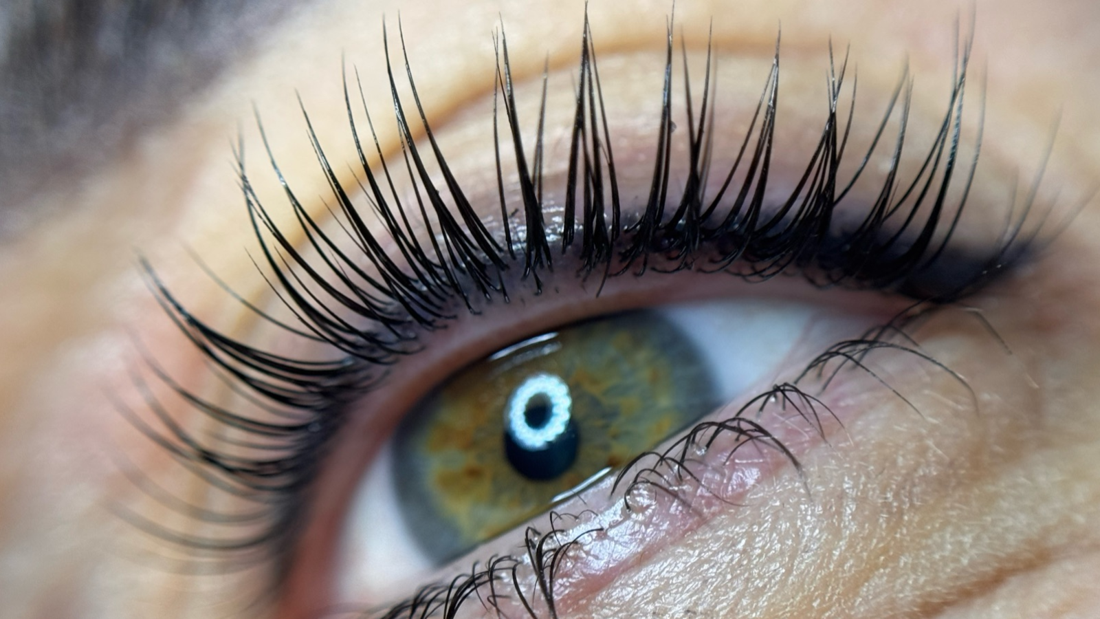 Brow and Lash by Marky