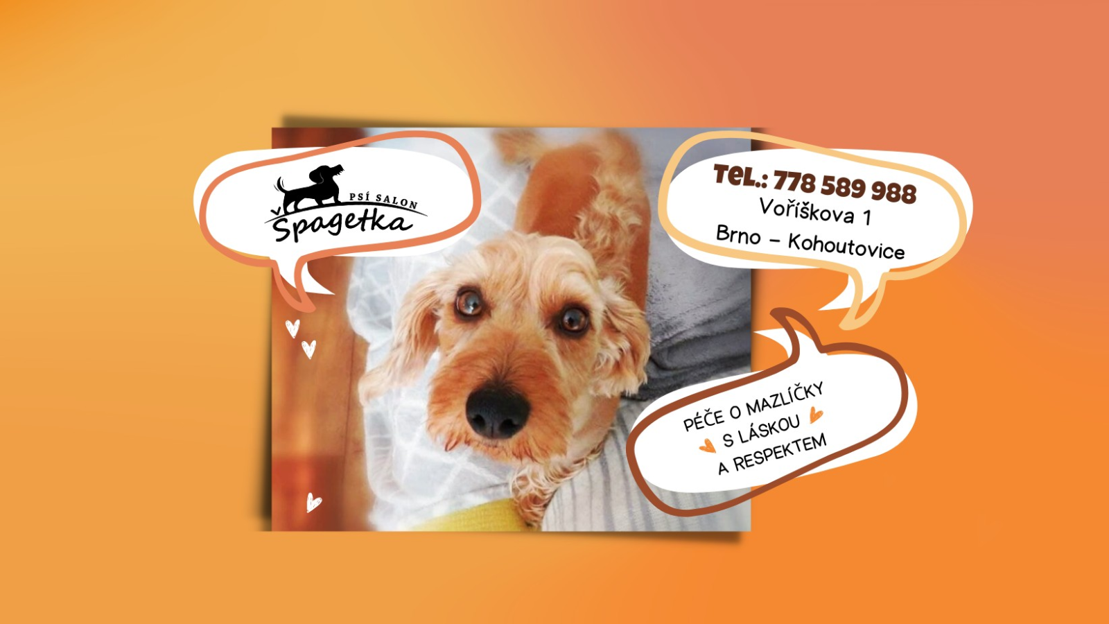 Psí salon Špagetka Brno