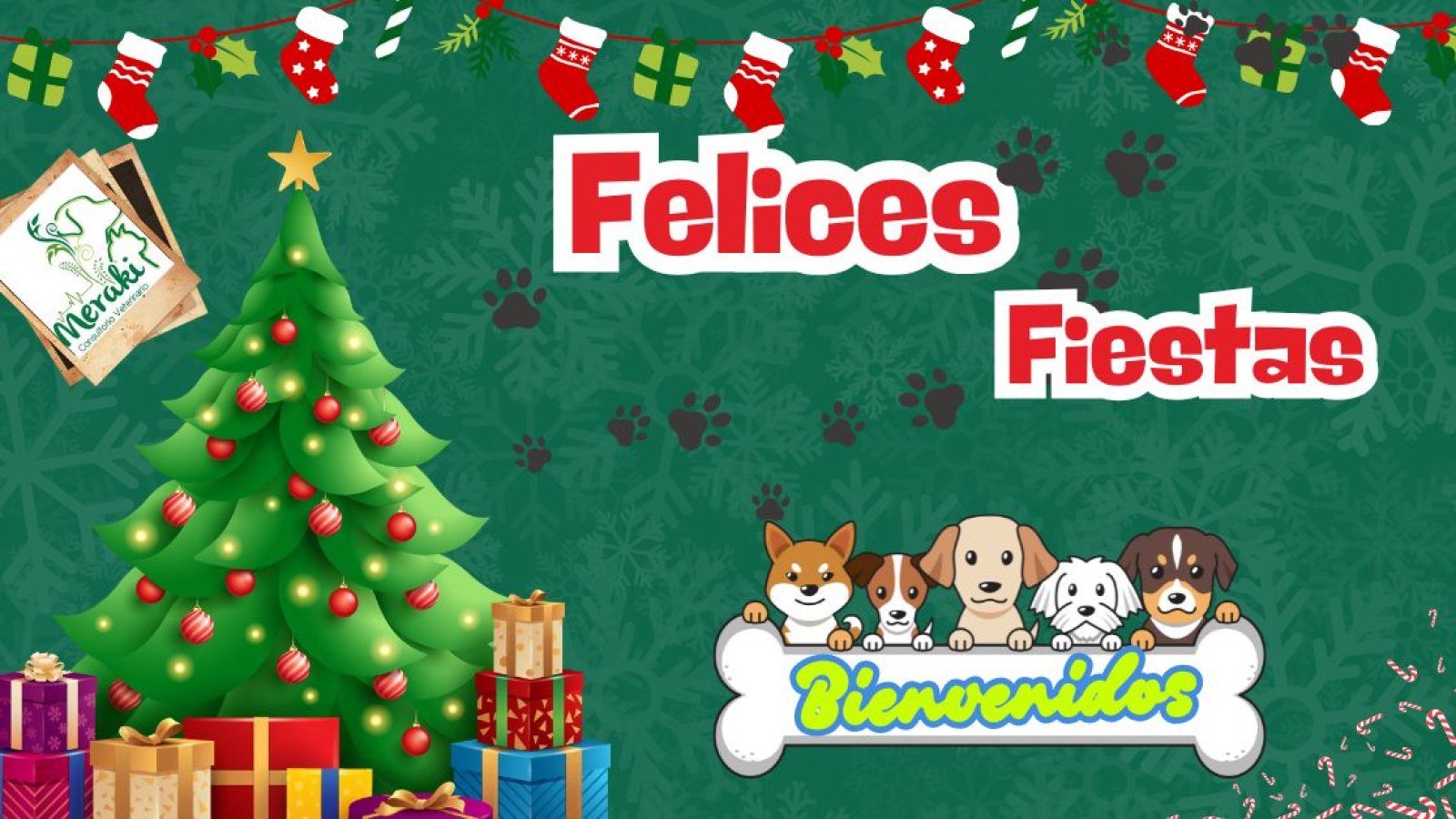 Consultorio Veterinario Meraki